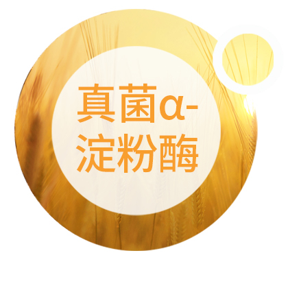 真菌α-淀粉酶