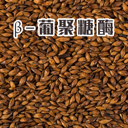 单酶丨β-葡聚糖酶