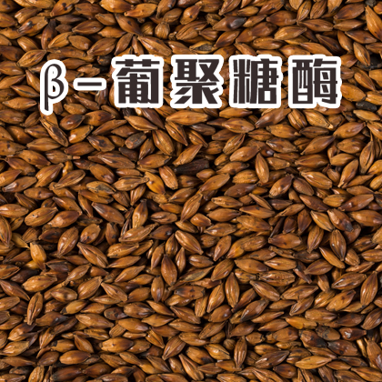 单酶丨β-葡聚糖酶