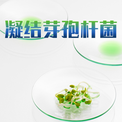 凝结芽孢杆菌