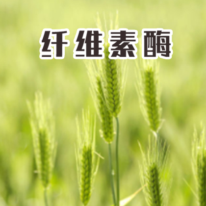 单酶丨纤维素酶