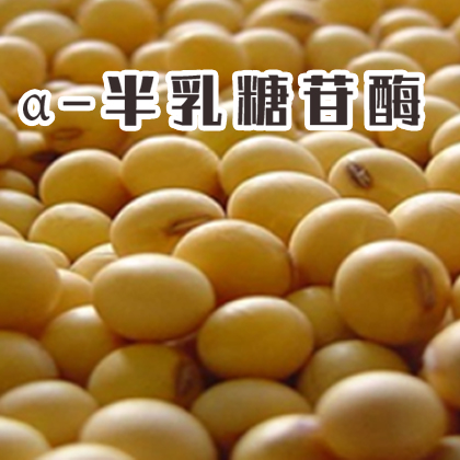 单酶丨α-半乳糖苷酶