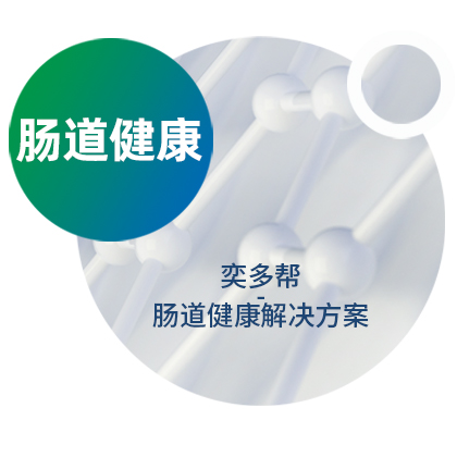 复合酶 | 奕多帮-肠道健康解决方案