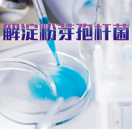 解淀粉芽孢杆菌
