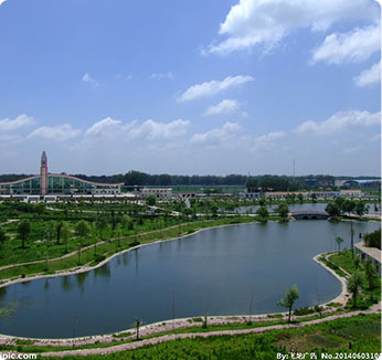 沭阳县委书记到我司调研