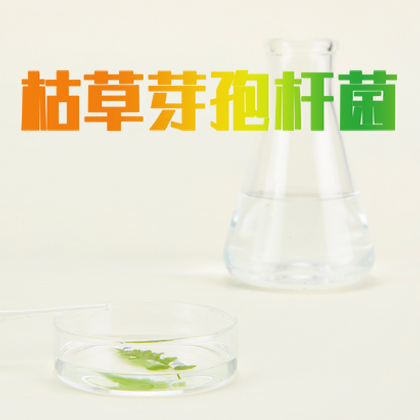 枯草芽孢杆菌